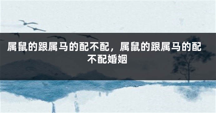 属鼠的跟属马的配不配，属鼠的跟属马的配不配婚姻