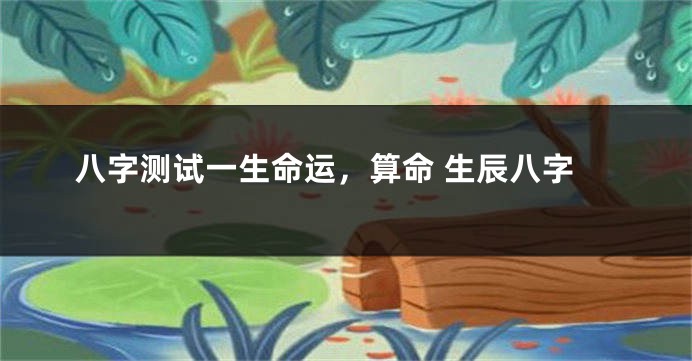 八字测试一生命运，算命 生辰八字