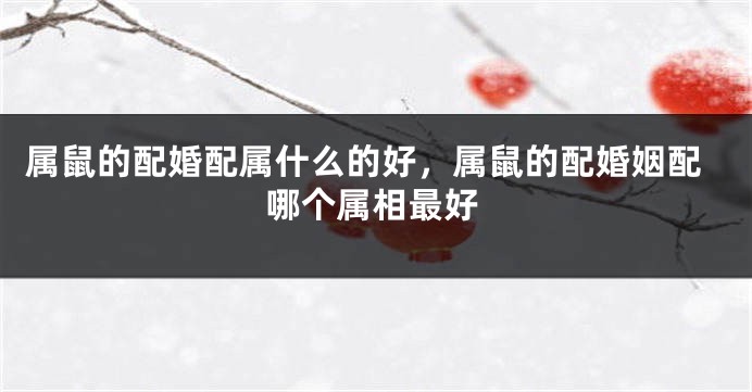 属鼠的配婚配属什么的好，属鼠的配婚姻配哪个属相最好