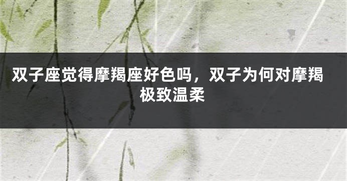 双子座觉得摩羯座好色吗，双子为何对摩羯极致温柔