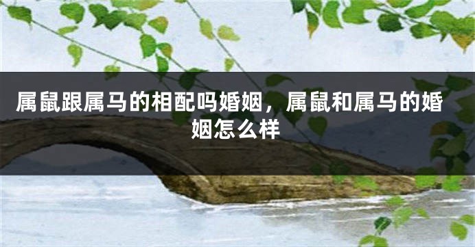 属鼠跟属马的相配吗婚姻，属鼠和属马的婚姻怎么样