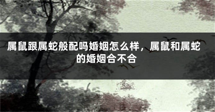 属鼠跟属蛇般配吗婚姻怎么样，属鼠和属蛇的婚姻合不合