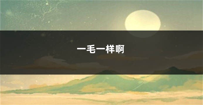 一毛一样啊