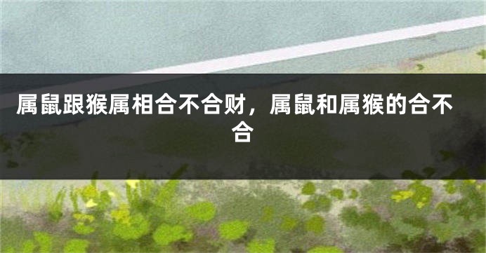 属鼠跟猴属相合不合财,属鼠和属猴的合不合