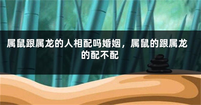 属鼠跟属龙的人相配吗婚姻，属鼠的跟属龙的配不配