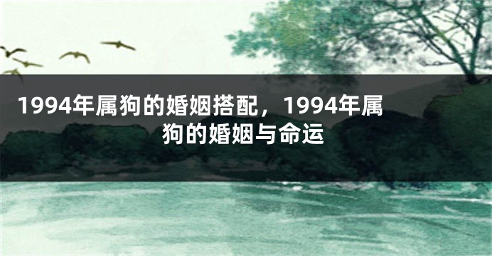 1994年属狗的婚姻搭配，1994年属狗的婚姻与命运