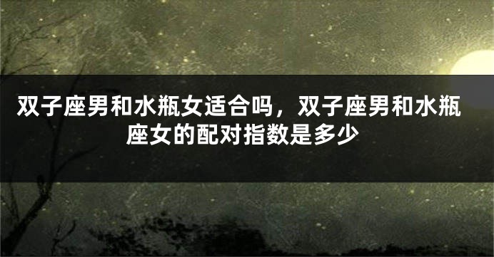 双子座男和水瓶女适合吗，双子座男和水瓶座女的配对指数是多少