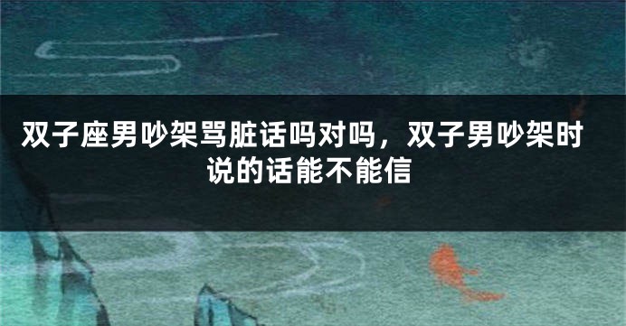 双子座男吵架骂脏话吗对吗，双子男吵架时说的话能不能信