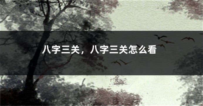 八字三关，八字三关怎么看