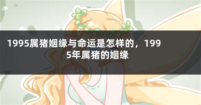 1995属猪姻缘与命运是怎样的，1995年属猪的姻缘