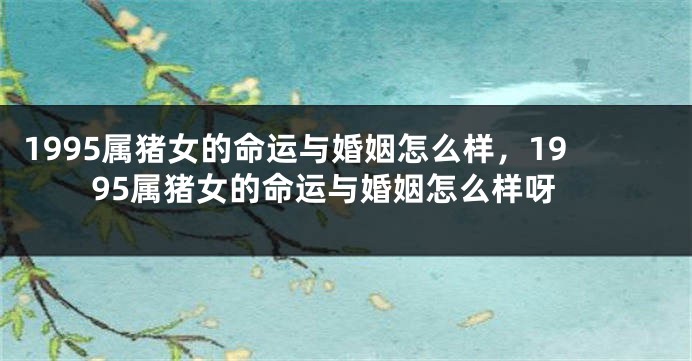 1995属猪女的命运与婚姻怎么样，1995属猪女的命运与婚姻怎么样呀