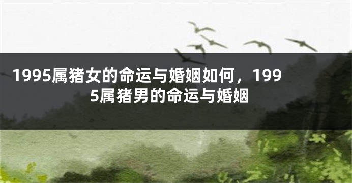 1995属猪女的命运与婚姻如何，1995属猪男的命运与婚姻