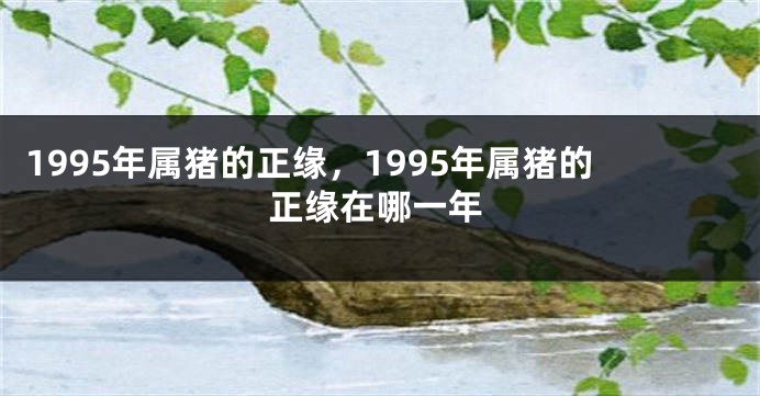 1995年属猪的正缘，1995年属猪的正缘在哪一年