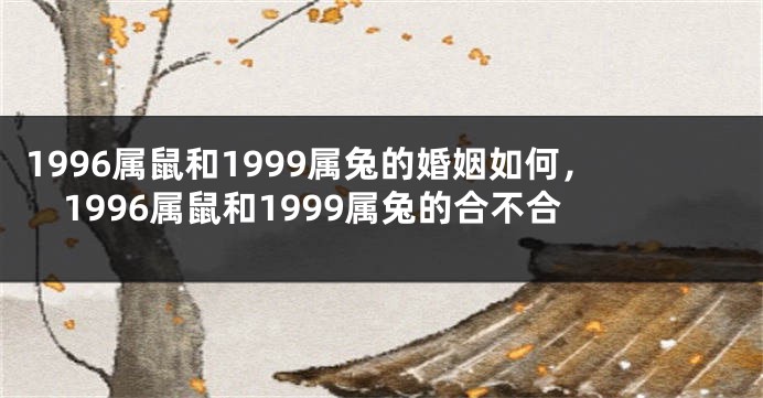 1996属鼠和1999属兔的婚姻如何，1996属鼠和1999属兔的合不合