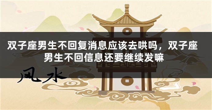 双子座男生不回复消息应该去哄吗，双子座男生不回信息还要继续发嘛