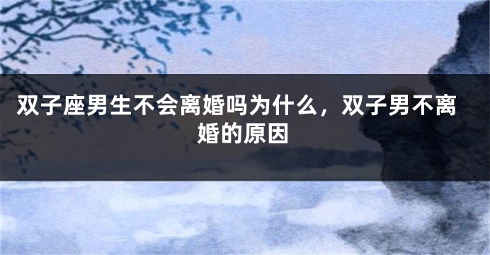双子座男生不会离婚吗为什么，双子男不离婚的原因