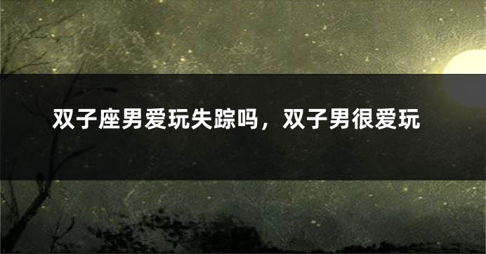 双子座男爱玩失踪吗,双子男很爱玩