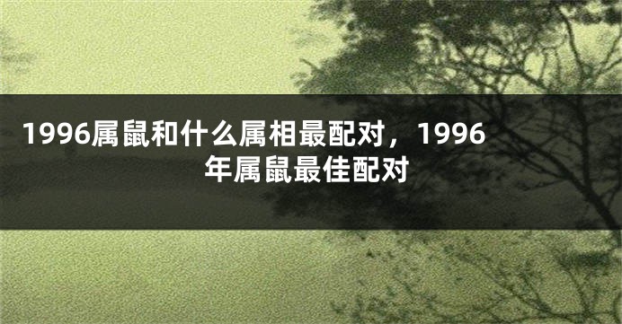 1996属鼠和什么属相最配对，1996年属鼠最佳配对