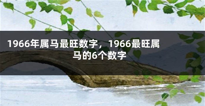 1966年属马最旺数字，1966最旺属马的6个数字