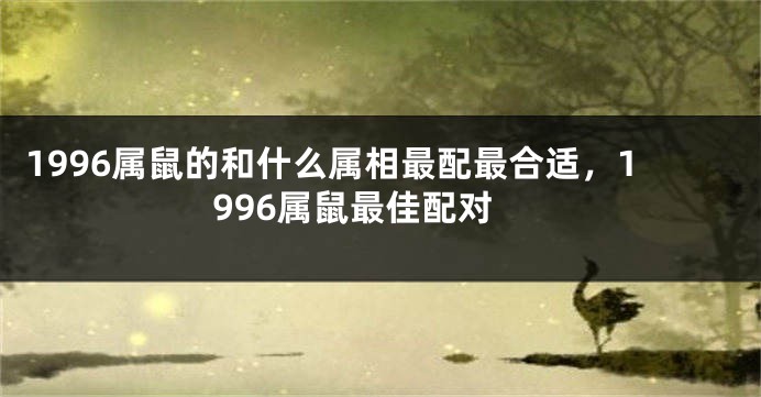 1996属鼠的和什么属相最配最合适，1996属鼠最佳配对
