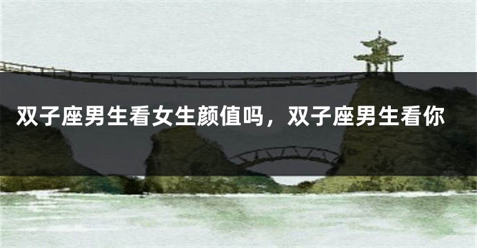 双子座男生看女生颜值吗，双子座男生看你