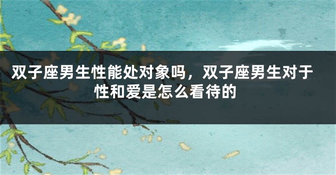双子座男生性能处对象吗，双子座男生对于性和爱是怎么看待的