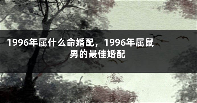 1996年属什么命婚配，1996年属鼠男的最佳婚配