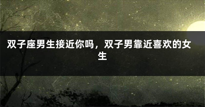 双子座男生接近你吗，双子男靠近喜欢的女生