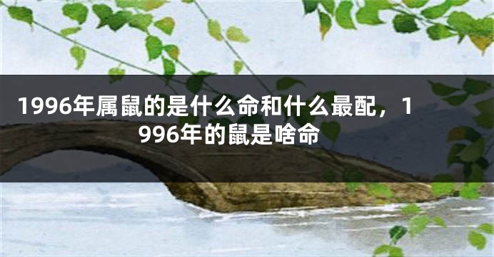 1996年属鼠的是什么命和什么最配，1996年的鼠是啥命