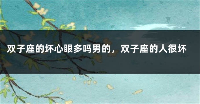 双子座的坏心眼多吗男的，双子座的人很坏
