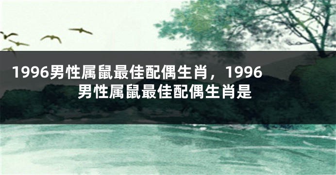 1996男性属鼠最佳配偶生肖，1996男性属鼠最佳配偶生肖是