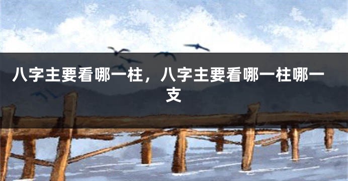 八字主要看哪一柱，八字主要看哪一柱哪一支