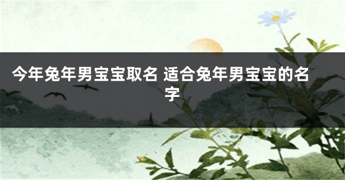 今年兔年男宝宝取名 适合兔年男宝宝的名字