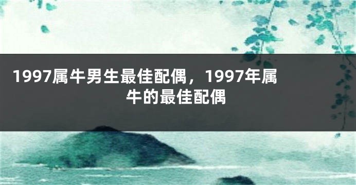 1997属牛男生最佳配偶，1997年属牛的最佳配偶