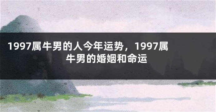 1997属牛男的人今年运势，1997属牛男的婚姻和命运