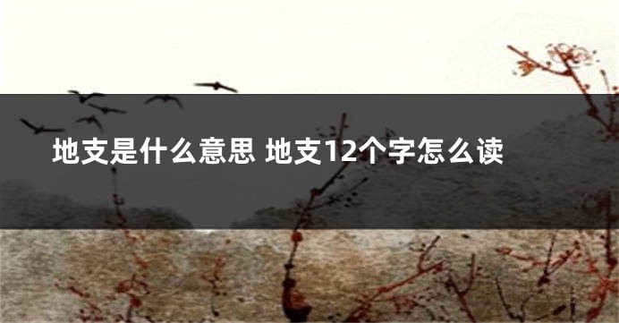 地支是什么意思 地支12个字怎么读
