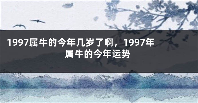 1997属牛的今年几岁了啊，1997年属牛的今年运势
