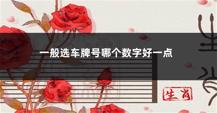 一般选车牌号哪个数字好一点