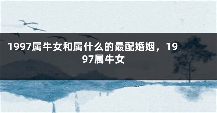1997属牛女和属什么的最配婚姻，1997属牛女