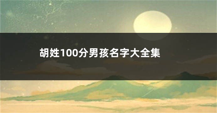 胡姓100分男孩名字大全集