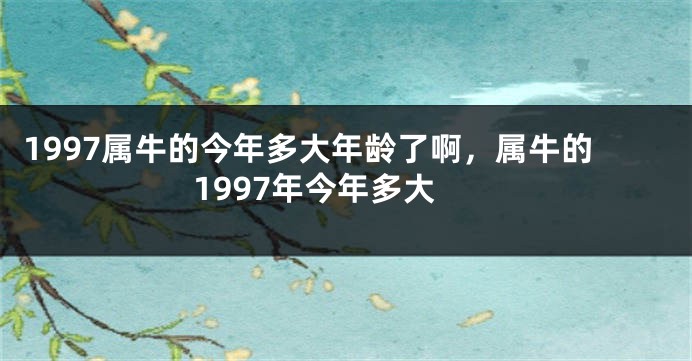 1997属牛的今年多大年龄了啊，属牛的1997年今年多大