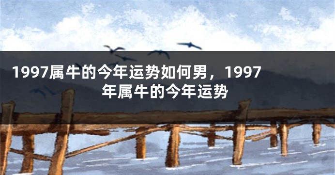 1997属牛的今年运势如何男，1997年属牛的今年运势