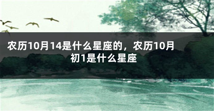 农历10月14是什么星座的，农历10月初1是什么星座
