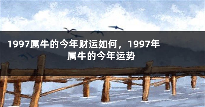 1997属牛的今年财运如何，1997年属牛的今年运势