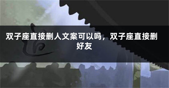 双子座直接删人文案可以吗，双子座直接删好友