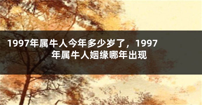 1997年属牛人今年多少岁了，1997年属牛人姻缘哪年出现
