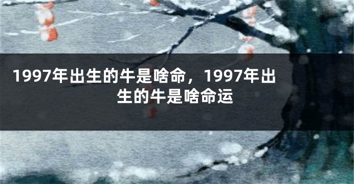 1997年出生的牛是啥命，1997年出生的牛是啥命运