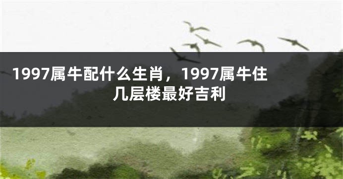 1997属牛配什么生肖，1997属牛住几层楼最好吉利