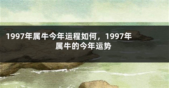 1997年属牛今年运程如何，1997年属牛的今年运势
