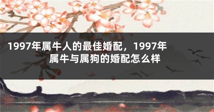 1997年属牛人的最佳婚配，1997年属牛与属狗的婚配怎么样
